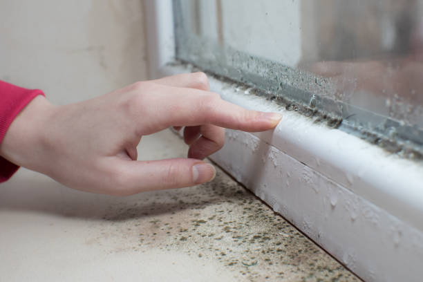 Best Indoor Air Quality Assessment  in Estill Springs, TN
